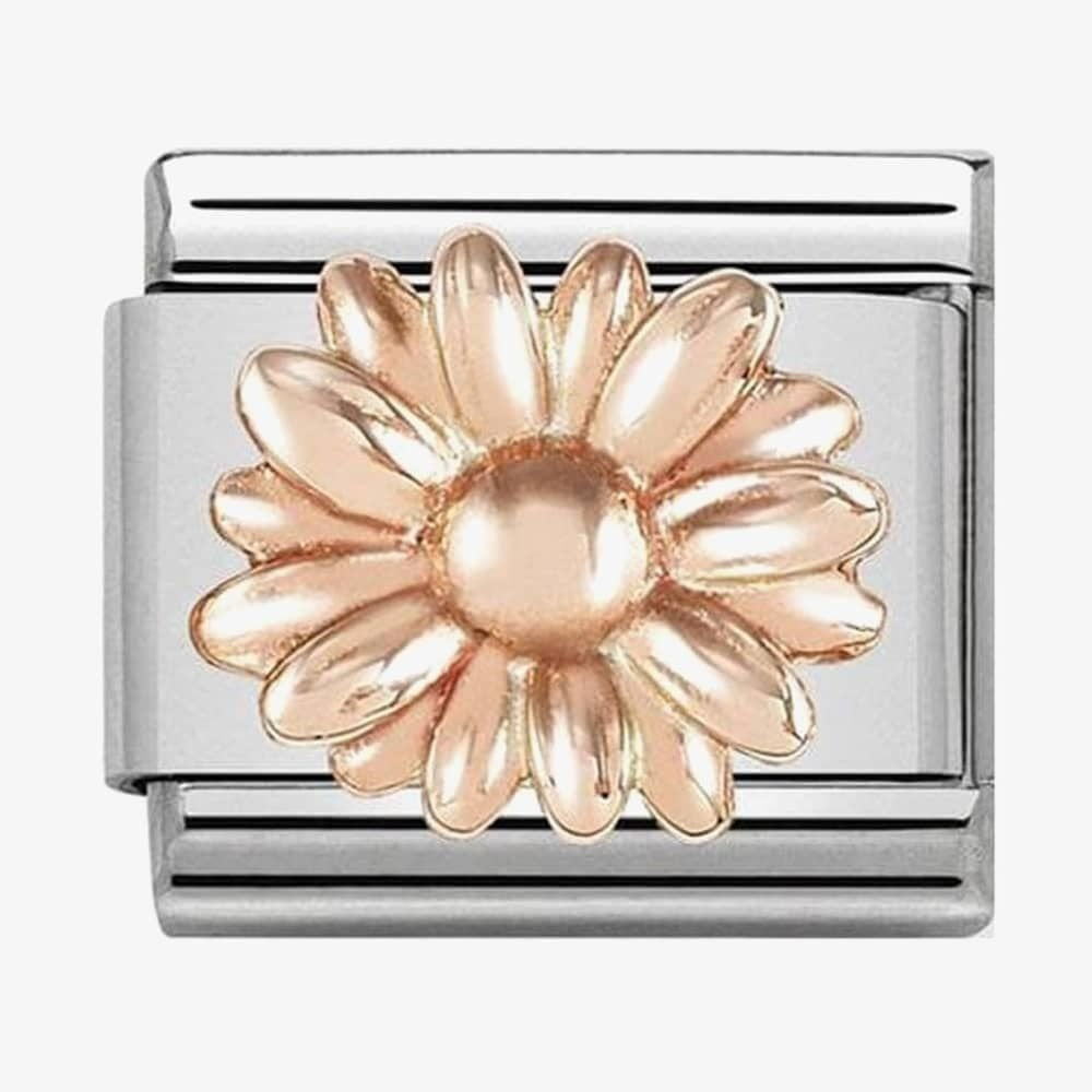 Composable Classic DAISY charm in stainless steel with 9ct rose gold symbols