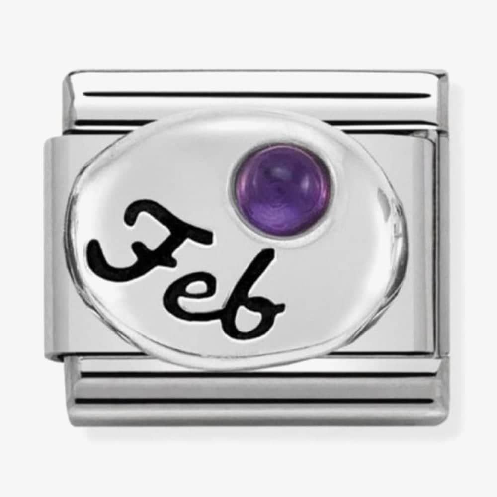 Composable Classic FEBRUARY BIRTHSTONE AMETHYST in stainless steel & sterling silver