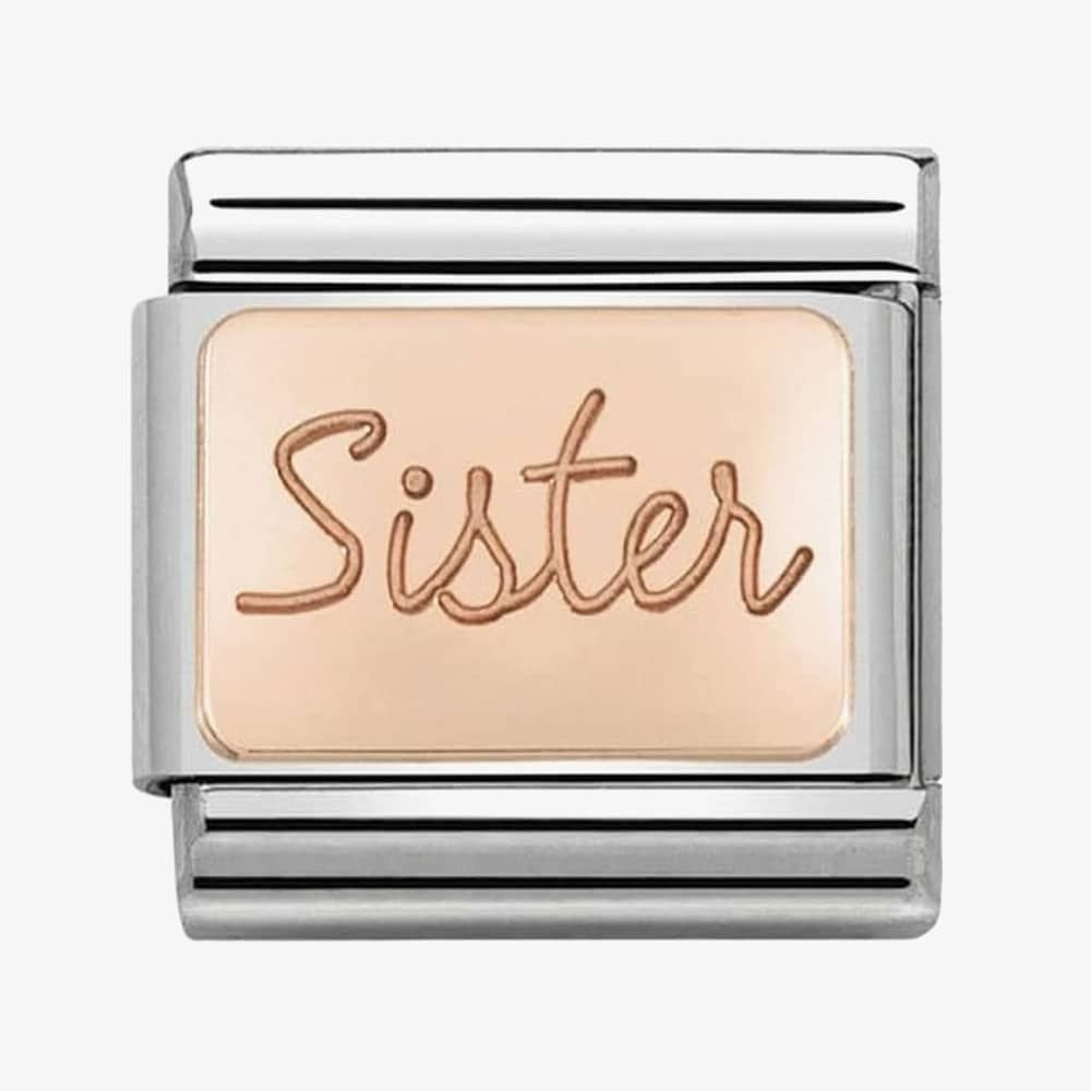 Composable Classic link in stainless steel with 9K rose gold Sister plate