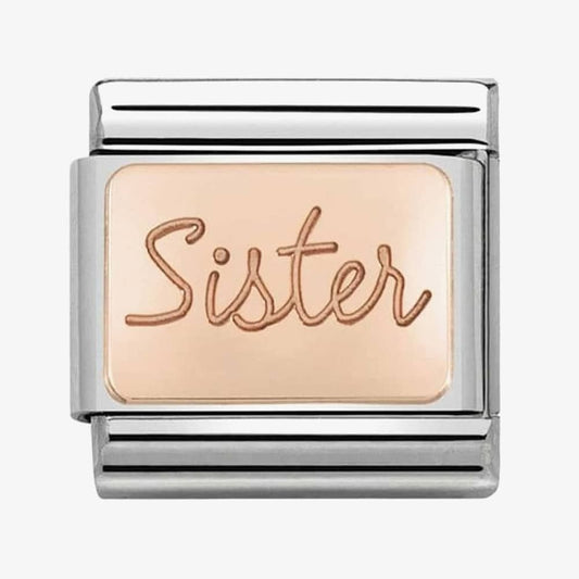 Composable Classic link in stainless steel with 9K rose gold Sister plate