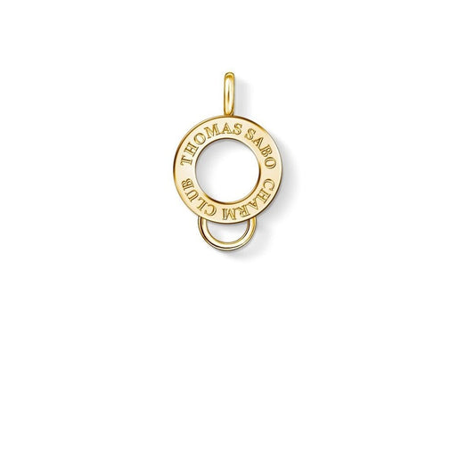 GOLD ON SILVER CHARM CARRIER