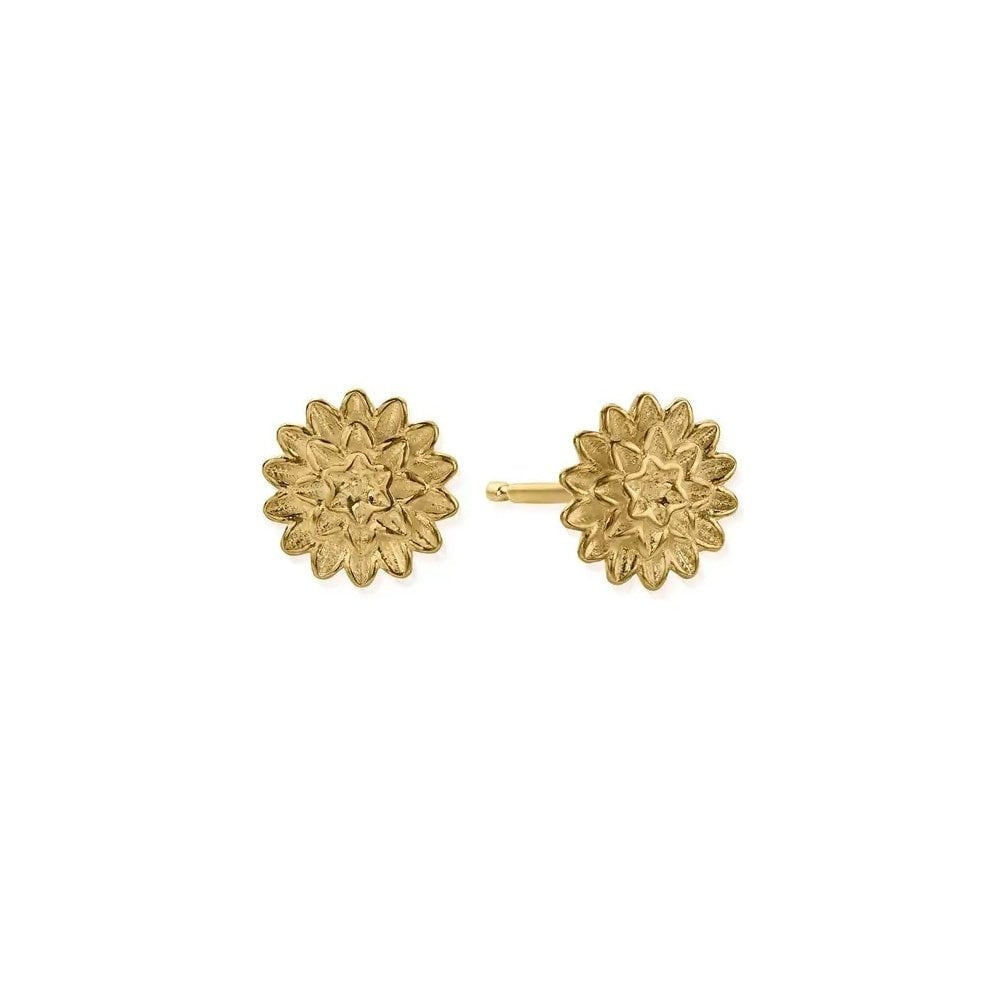 Gold On Silver Botanical Beauty Stud Earrings