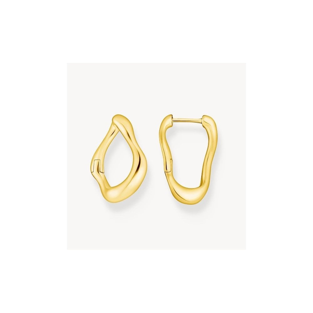 Gold-plated small hoop earrings Natural Beauty