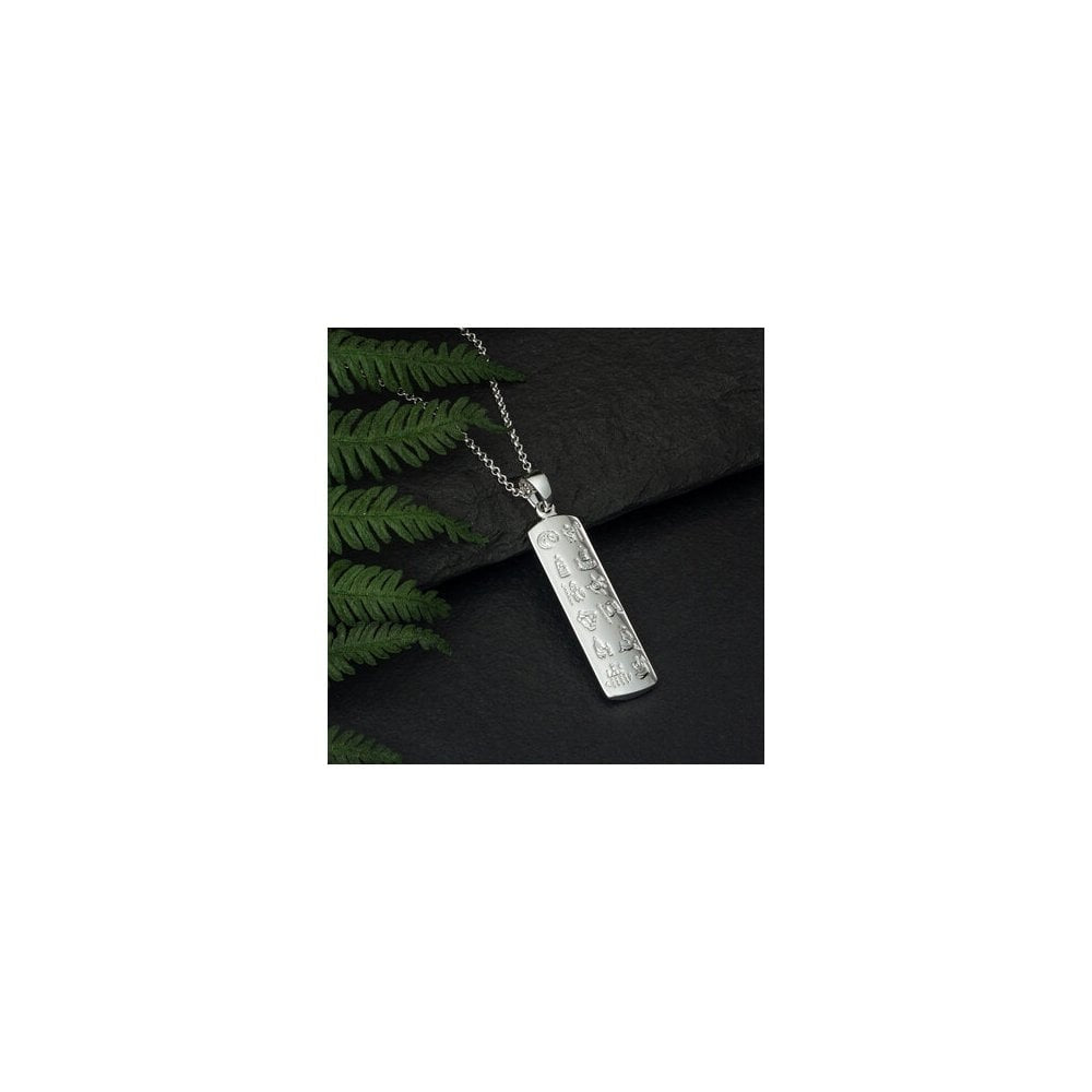 HISTORY OF IRELAND RECTANGULAR DISC PENDANT WITH 18" STERLING SILVER CHAIN