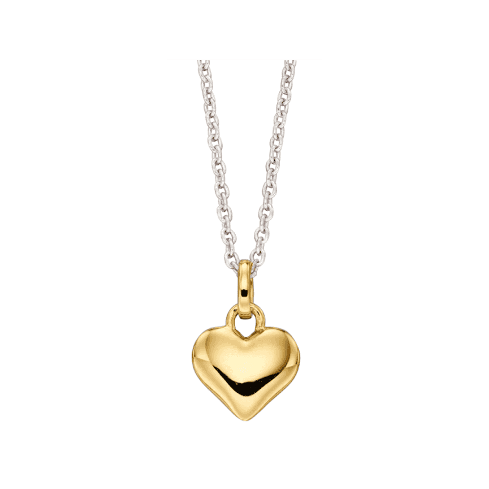 Little Star Sterling Silver and Yellow Gold Plated Heart Necklace