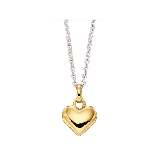 Little Star Sterling Silver and Yellow Gold Plated Heart Necklace