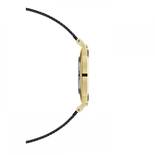 PETITE EVERGOLD HORLOGE GOLD MESH BRACELET WITH BLACK 36mm DIAL