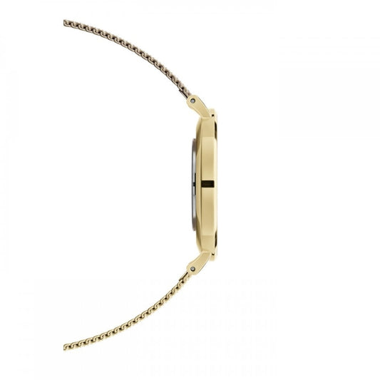 PETITE EVERGOLD YELLOW GOLD MESH BRACELET WATCH WITH 36mm WHITE DIAL