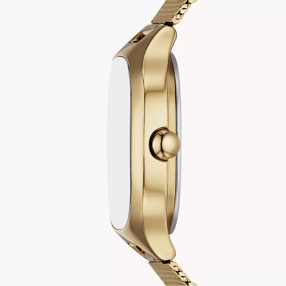 SKAGEN MELLEM LILLE LADIES GOLD MESH STAINLESS STEEL WATCH