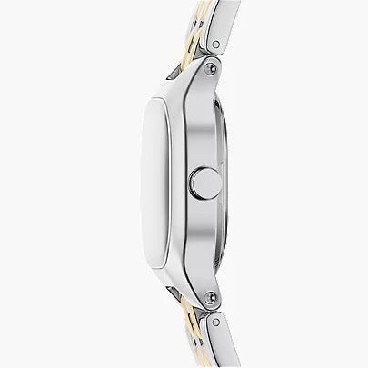 Skagen Mellem Micro Two-Hand Ladies Two-Tone Stainless Steel Watch