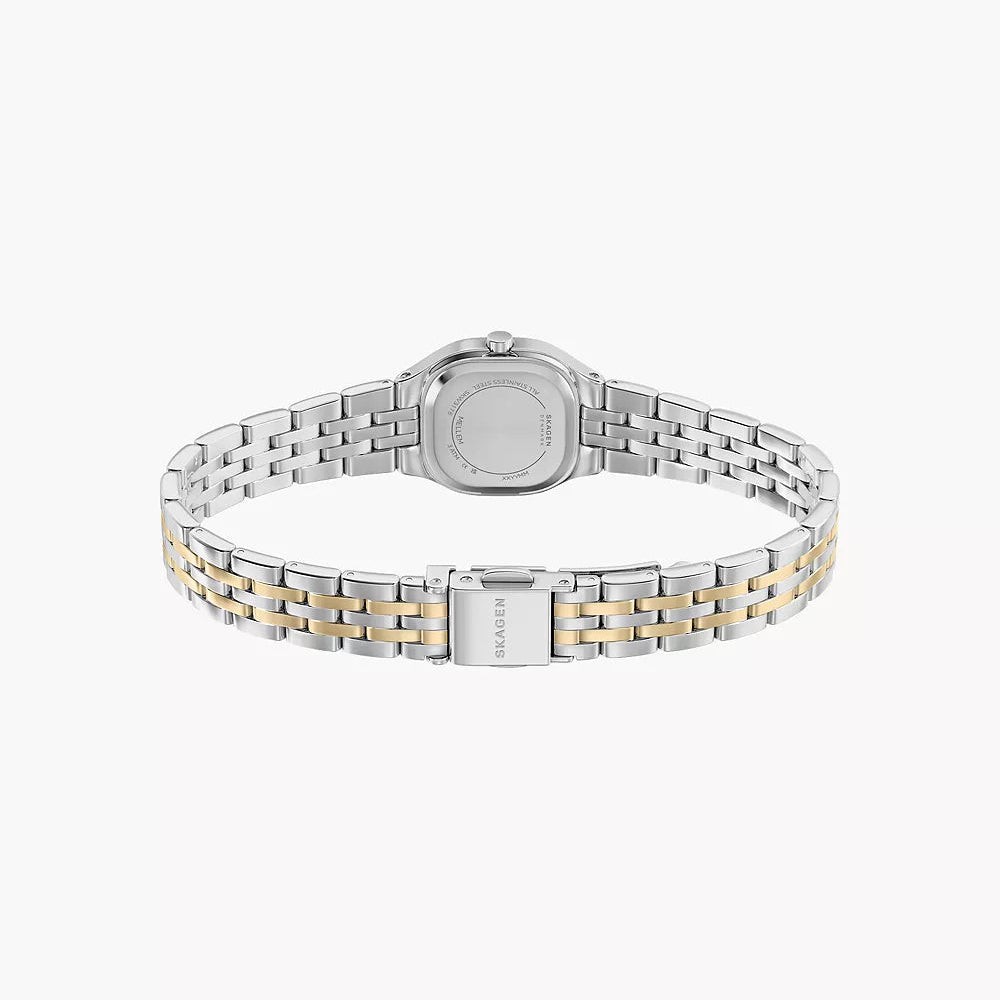 Skagen Mellem Micro Two-Hand Ladies Two-Tone Stainless Steel Watch