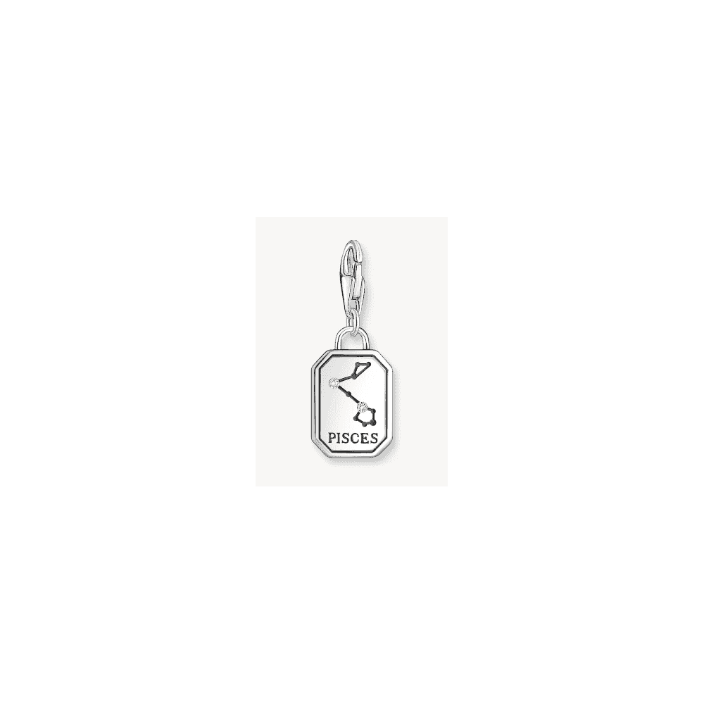 Silver charm pendant zodiac sign Pisces with zirconia