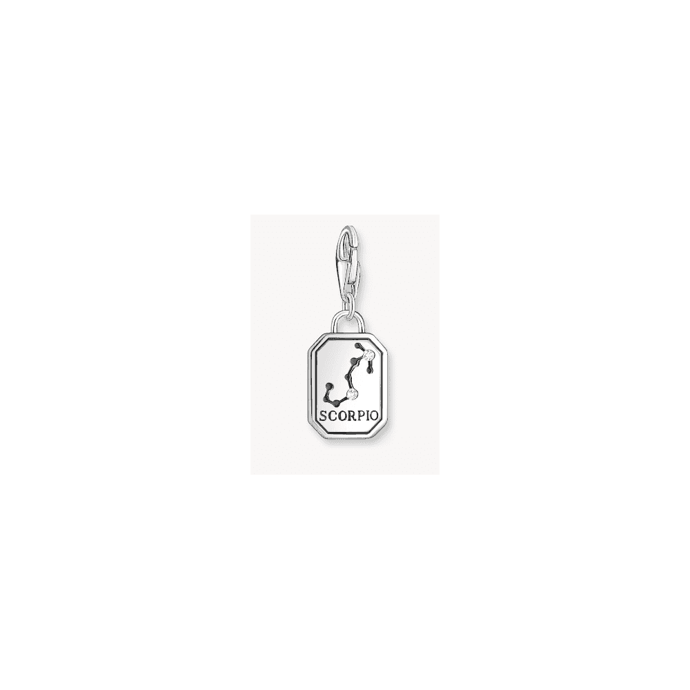 Silver charm pendant zodiac sign Scorpio with zirconia