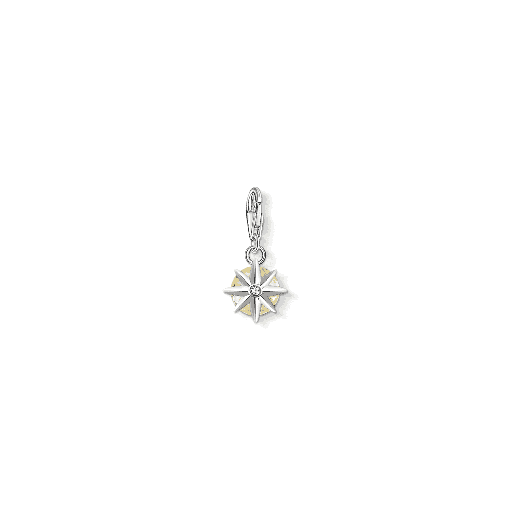 Sterling Silver November Birthstone Charm