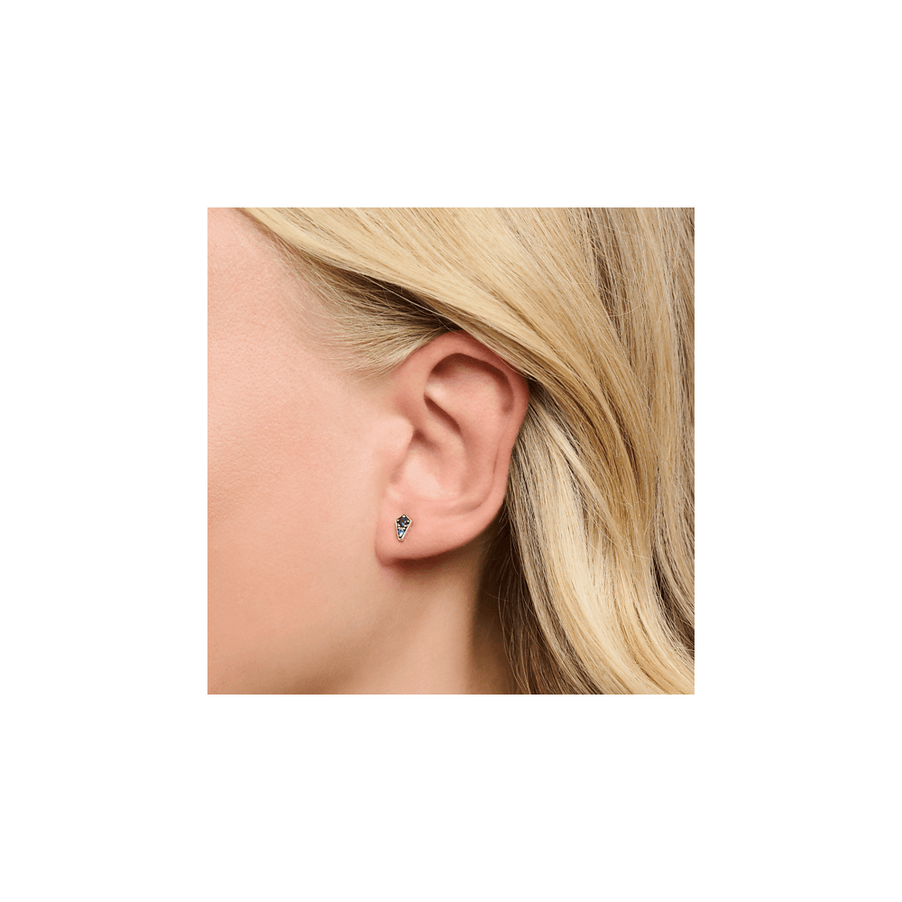 Sterling Silver Royalty Earrings With Stones