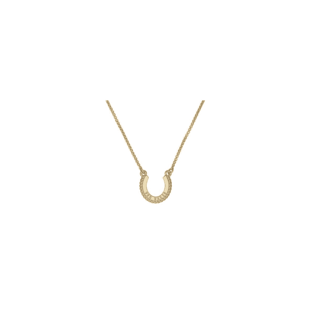 Ted Baker Loucie Lucky Horseshoe Pendant 