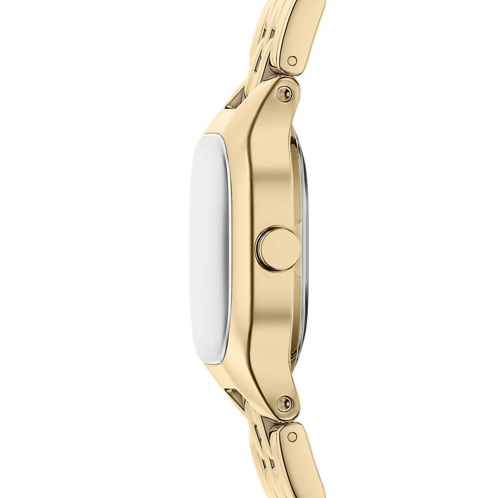 Skagen Mellem Micro Gold Ladies Stainless Steel Watch