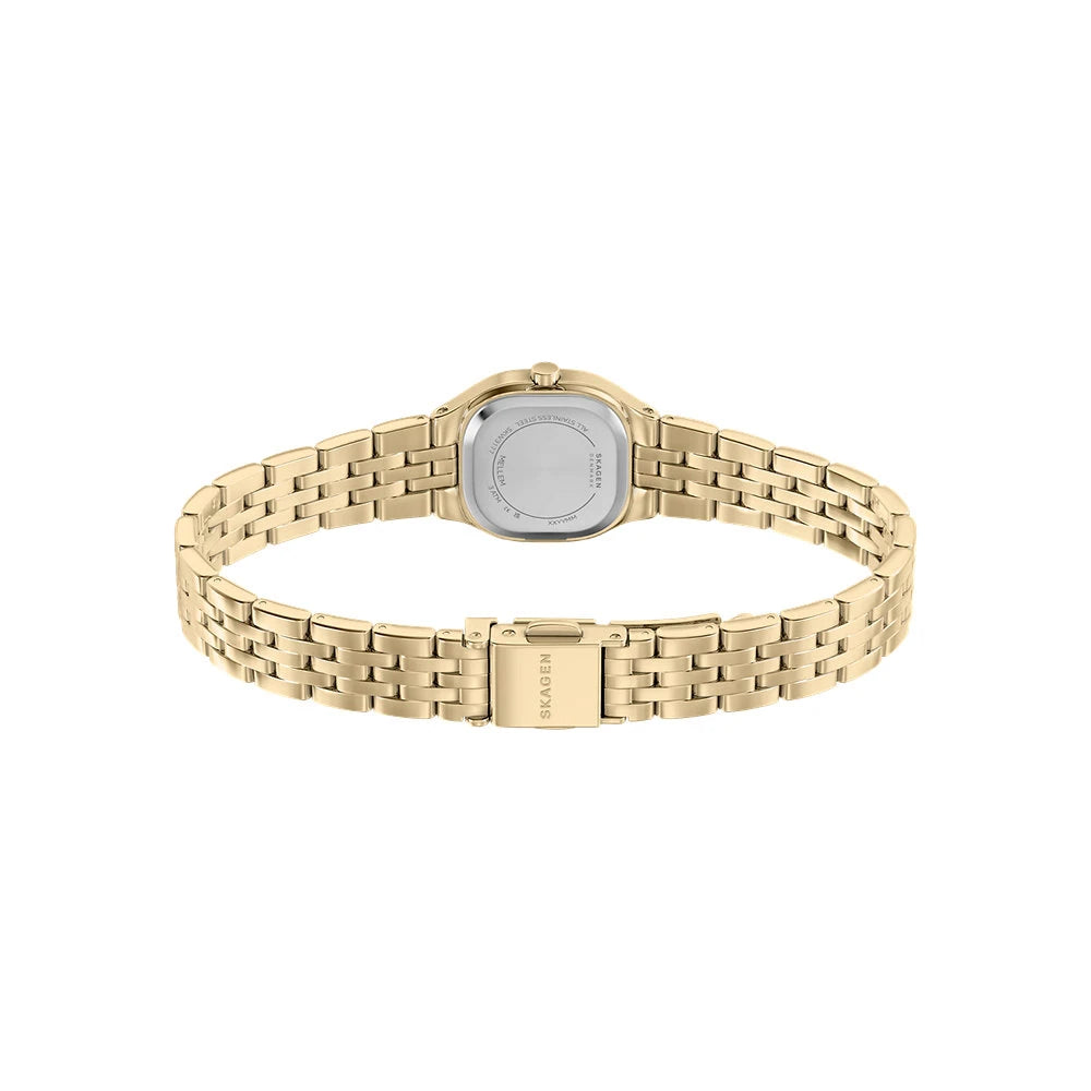 Skagen Mellem Micro Gold Ladies Stainless Steel Watch