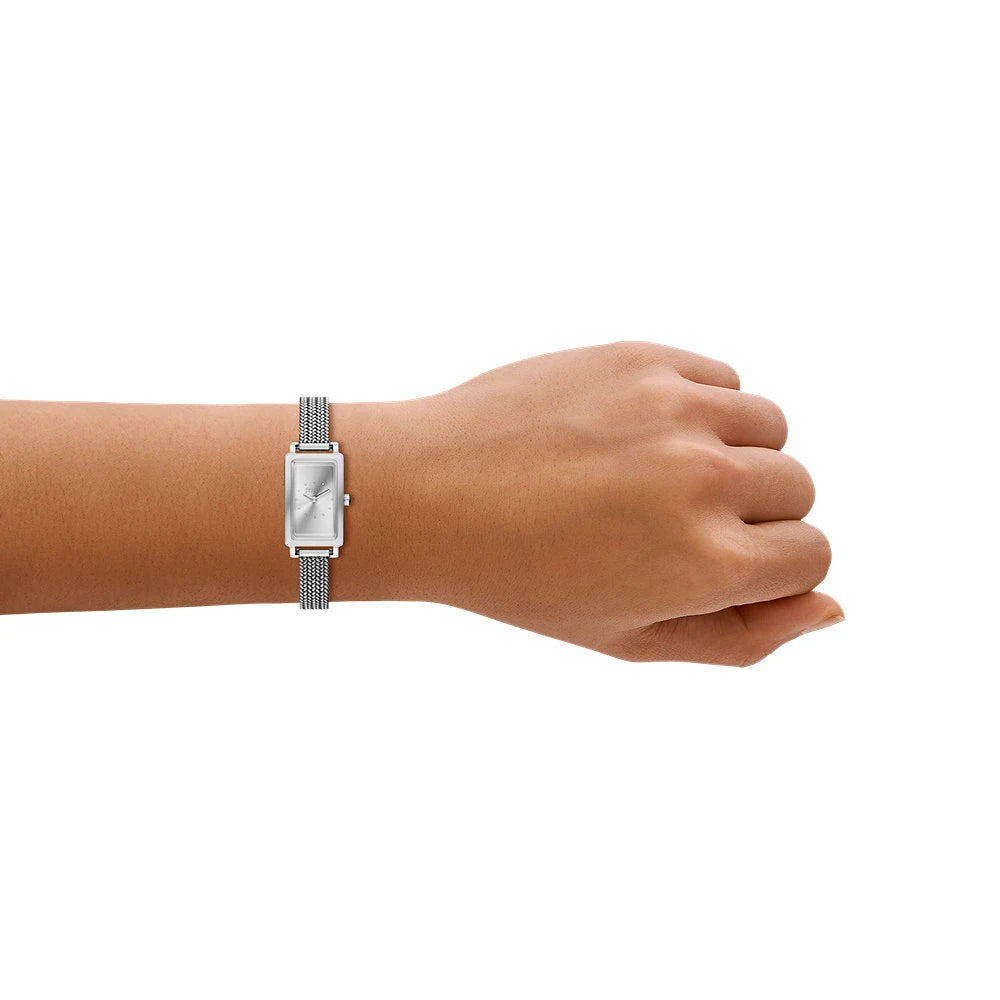 Skagen Hagen Micro Ladies Stainless Steel Watch