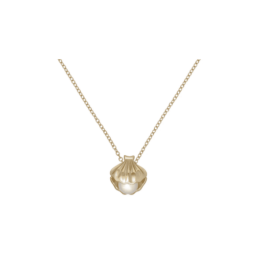 ted baker clamra clam shell gold tone pearl pendant