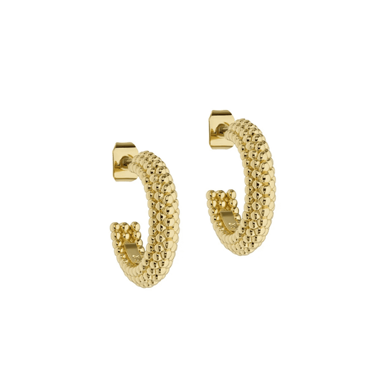 ted baker dotetta dotty hoop earrings 