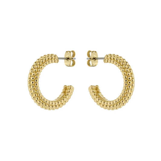 ted baker dotetta dotty hoop earrings 