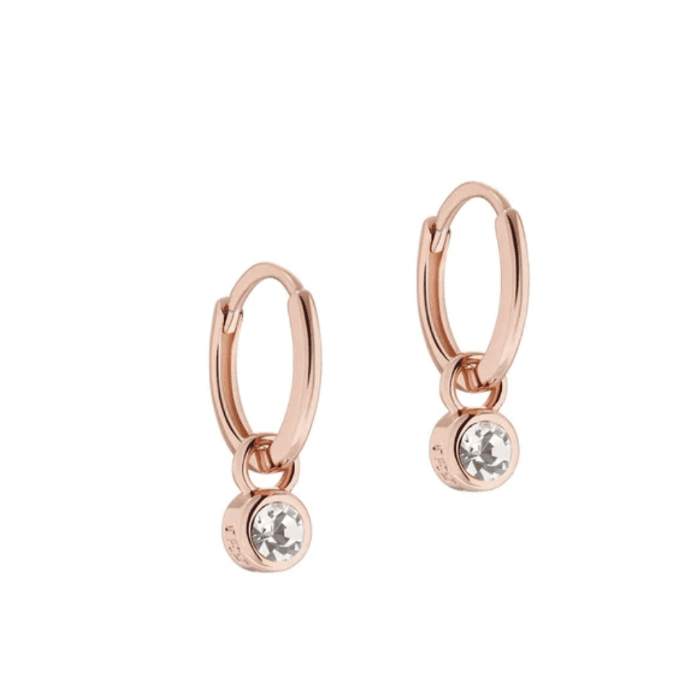 ted baker sinalaa rose gold tone crystal huggie